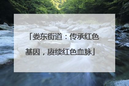 娄东街道：传承红色基因，赓续红色血脉