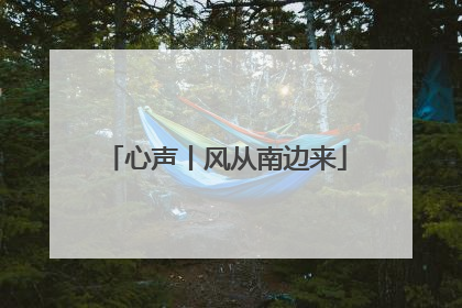 心声丨风从南边来