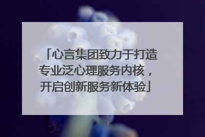心言集团致力于打造专业泛心理服务内核，开启创新服务新体验