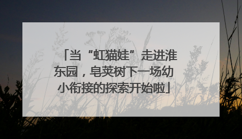 当“虹猫娃”走进淮东园，皂荚树下一场幼小衔接的探索开始啦