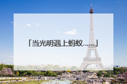 当光明遇上蚂蚁……