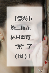 德兴市绕二镇花林村蓝莓“紫”了（图）