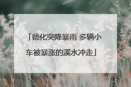 德化突降暴雨 多辆小车被暴涨的溪水冲走