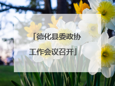 德化县委政协工作会议召开