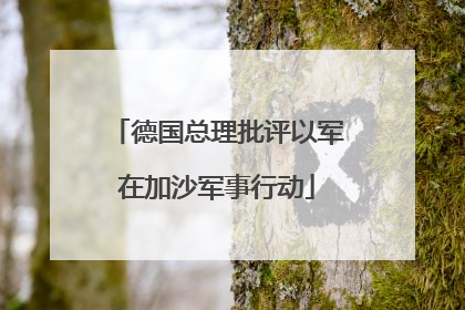 德国总理批评以军在加沙军事行动