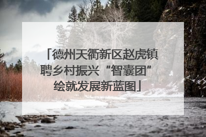 德州天衢新区赵虎镇聘乡村振兴“智囊团” 绘就发展新蓝图
