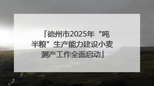 德州市2025年“吨半粮”生产能力建设小麦测产工作全面启动