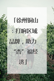 徐州铜山：打响区域品牌，助力“杏”福经济