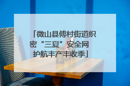 微山县傅村街道织密“三夏”安全网 护航丰产丰收季