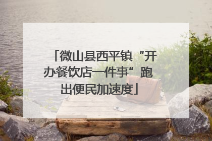 微山县西平镇“开办餐饮店一件事”跑出便民加速度