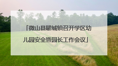 微山县驩城镇召开学区幼儿园安全暨园长工作会议
