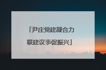 尹庄党建凝合力 联建议事促振兴