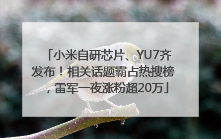 小米自研芯片、YU7齐发布！相关话题霸占热搜榜，雷军一夜涨粉超20万