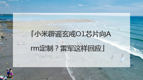 小米辟谣玄戒O1芯片向Arm定制？雷军这样回应