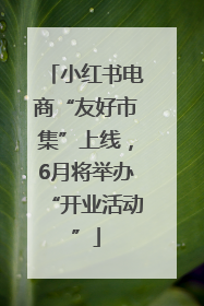 小红书电商“友好市集”上线，6月将举办“开业活动”