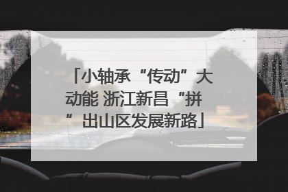 小轴承“传动”大动能 浙江新昌“拼”出山区发展新路