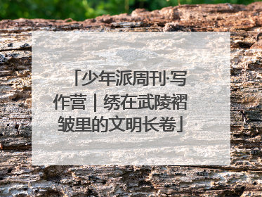 少年派周刊·写作营｜绣在武陵褶皱里的文明长卷