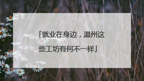 就业在身边，温州这些工坊有何不一样