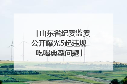 山东省纪委监委公开曝光5起违规吃喝典型问题