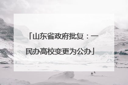 山东省政府批复：一民办高校变更为公办