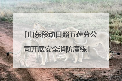 山东移动日照五莲分公司开展安全消防演练