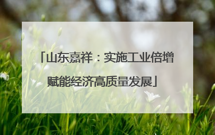 山东嘉祥：实施工业倍增 赋能经济高质量发展