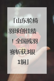 山东轮椅羽球创佳绩！全国残羽赛斩获3银1铜