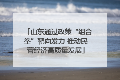 山东通过政策“组合拳”靶向发力 推动民营经济高质量发展