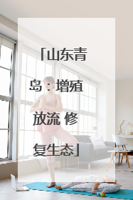 山东青岛：增殖放流 修复生态