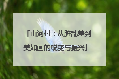山河村：从脏乱差到美如画的蜕变与振兴