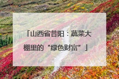 山西省昔阳：蔬菜大棚里的“绿色财富”