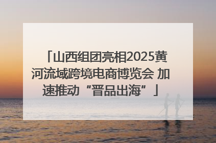 山西组团亮相2025黄河流域跨境电商博览会 加速推动“晋品出海”