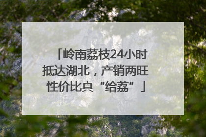 岭南荔枝24小时抵达湖北，产销两旺性价比真“给荔”