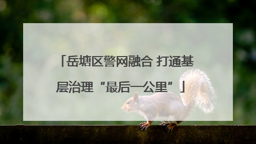 岳塘区警网融合 打通基层治理“最后一公里”