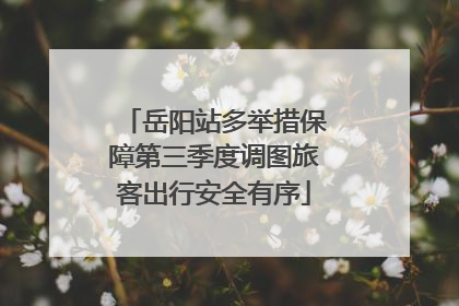 岳阳站多举措保障第三季度调图旅客出行安全有序