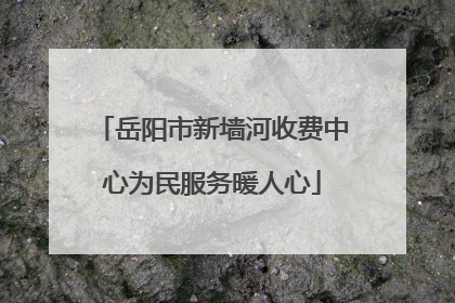 岳阳市新墙河收费中心为民服务暖人心