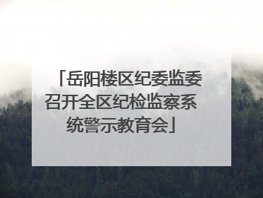 岳阳楼区纪委监委召开全区纪检监察系统警示教育会