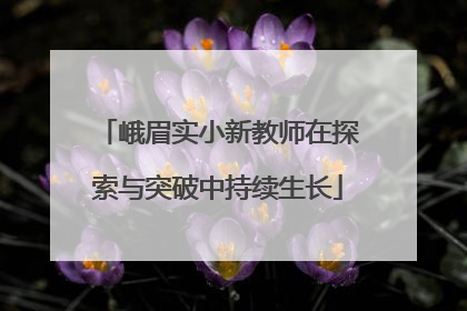 峨眉实小新教师在探索与突破中持续生长