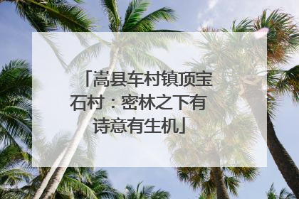 嵩县车村镇顶宝石村：密林之下有诗意有生机