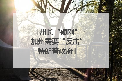 州长“硬刚”：加州需要“反击”特朗普政府