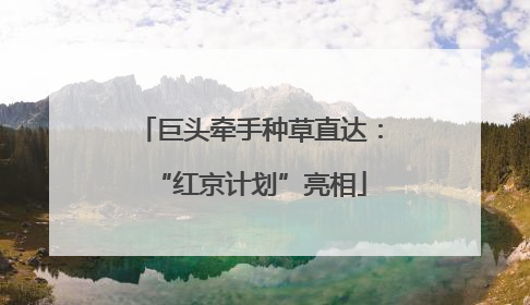 巨头牵手种草直达：“红京计划”亮相