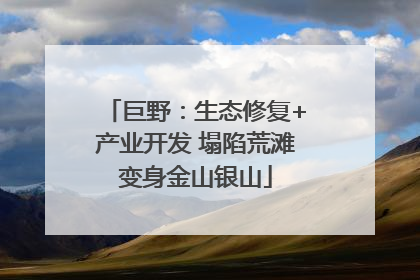 巨野：生态修复+产业开发 塌陷荒滩变身金山银山