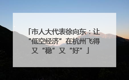 市人大代表徐向东：让“低空经济”在杭州飞得又“稳”又“好”