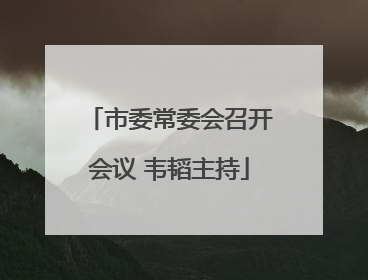 市委常委会召开会议 韦韬主持