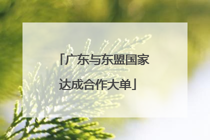 广东与东盟国家达成合作大单