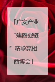 广安产业“建圈强链”精彩亮相西博会