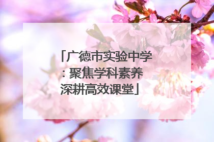 广德市实验中学：聚焦学科素养 深耕高效课堂