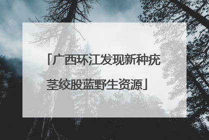 广西环江发现新种疣茎绞股蓝野生资源