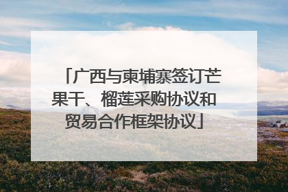 广西与柬埔寨签订芒果干、榴莲采购协议和贸易合作框架协议