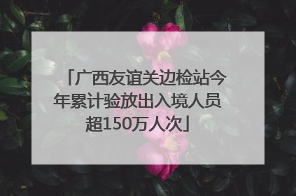 广西友谊关边检站今年累计验放出入境人员超150万人次